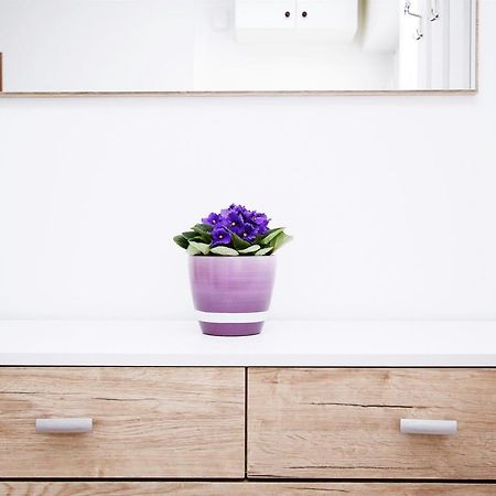 Apartment Anica Trogir Zewnętrze zdjęcie